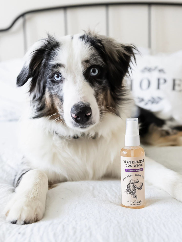 Lavender Vanilla Waterless Dog Wash by Mixologie