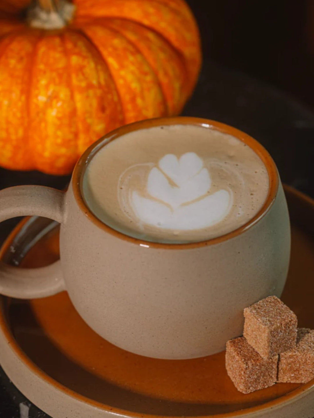 Pumpkin Spice Café Mixer Cubes